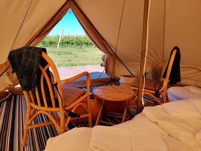 Arilds Vingård - Bild 4