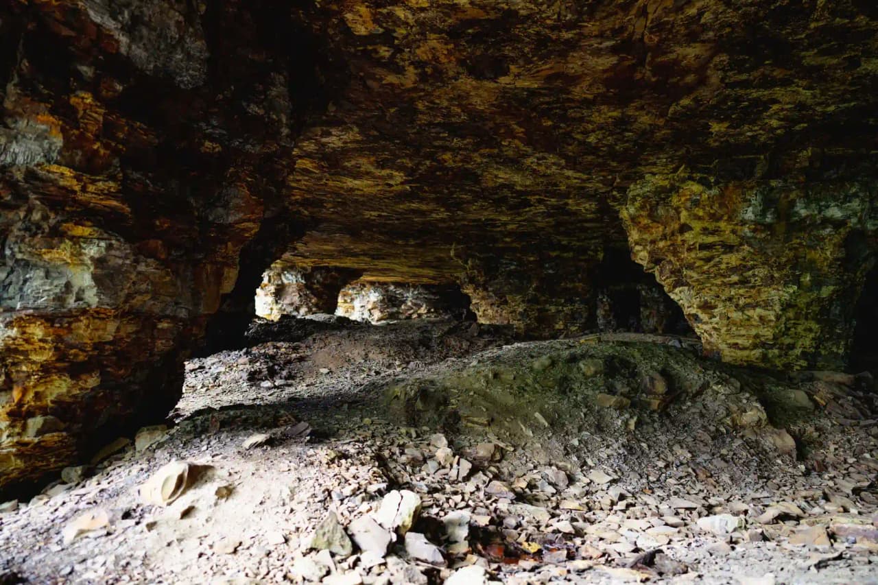 Halle- och Hunneberg Glamping - Bild 13