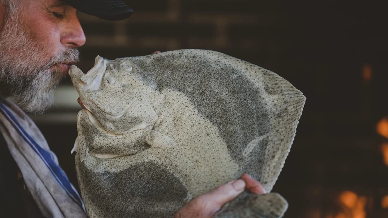 Kläpphagen - Bild 5