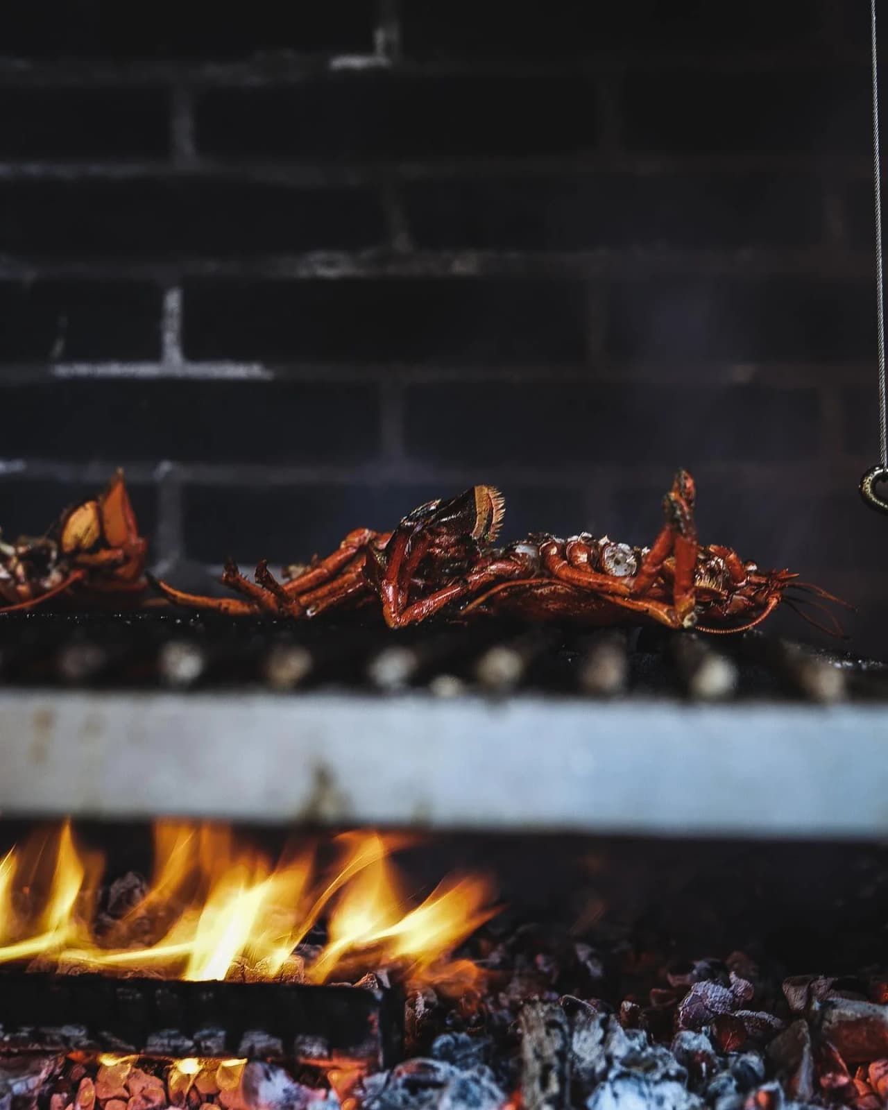 Kläpphagen - Bild 8