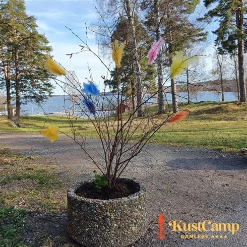 KustCamp Gamleby - Bild 5