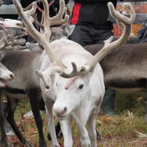 Peace & Quiet Hotel - Bild 22