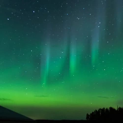 Peace & Quiet Hotel - Bild 25