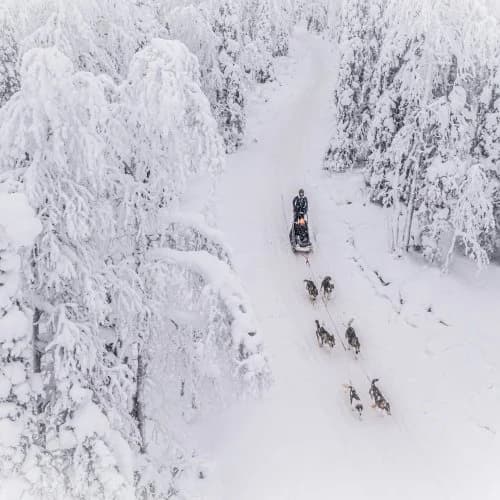 Peace & Quiet Hotel - Bild 31