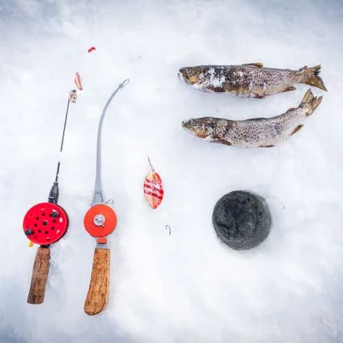 Peace & Quiet Hotel - Bild 38