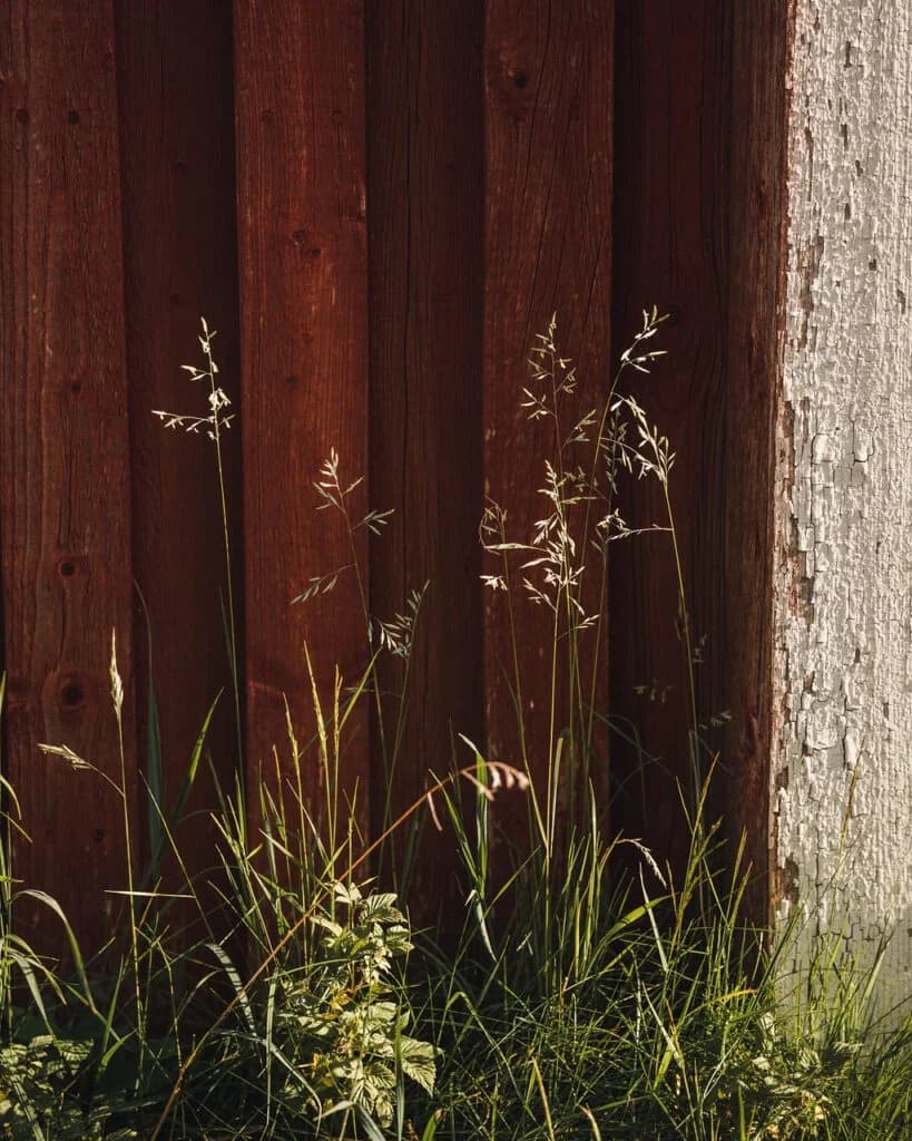 Stora Djupsås Glamping - Bild 3