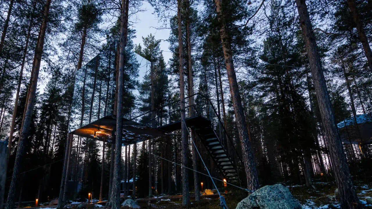 Treehotel - Bild 2
