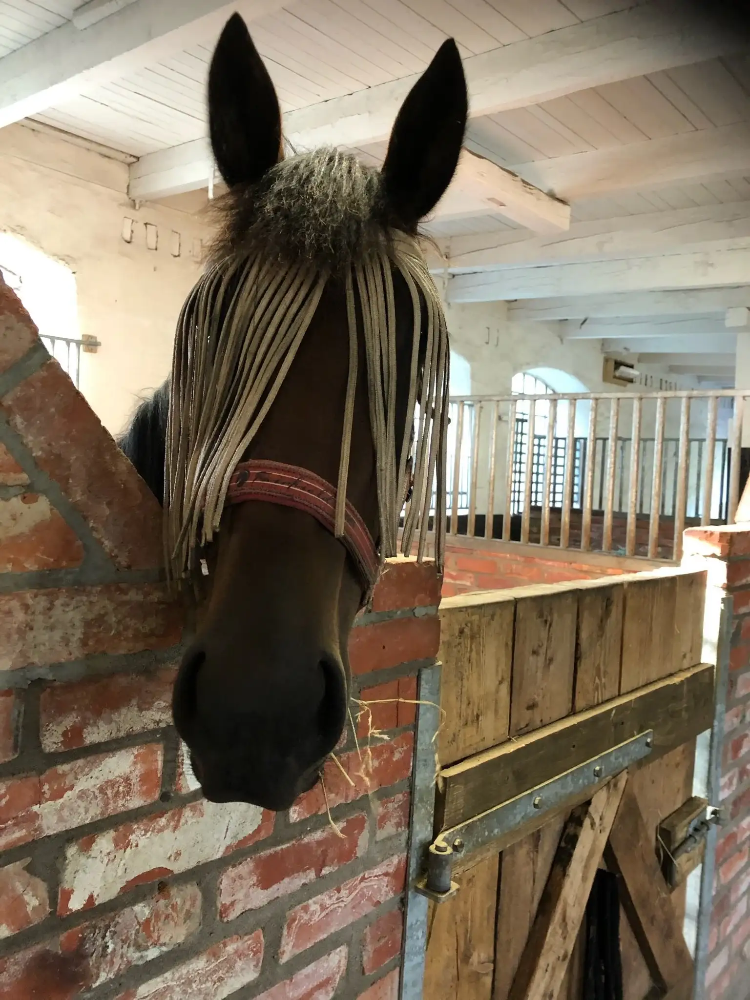 Tullesbo Sätesgård - Bild 4