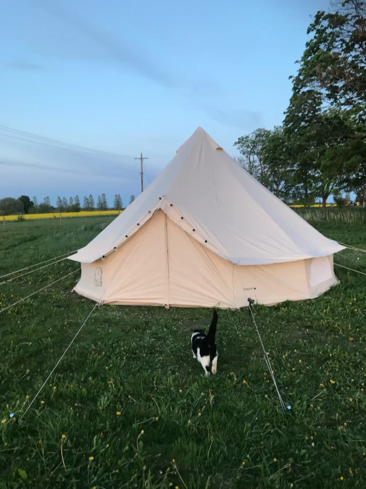 Tullesbo Sätesgård - Bild 9