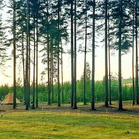 Upplev unik glamping i Värmland på Naturcamping Lagom vid Lilsjön. Bo i Tipi, Kota eller familjetält. Natur, komfort, aktiviteter & hundvänligt!