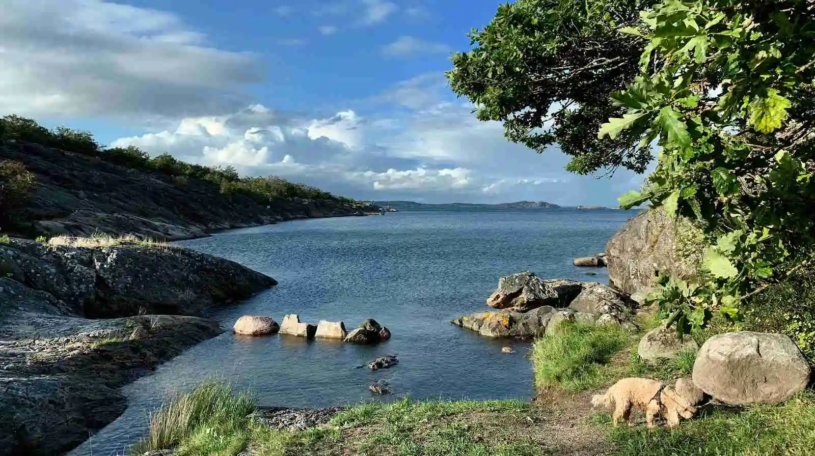 Upplev unik glamping i Marstrand! Bo i lyxiga tält på Marstrands Familjecamping nära havet & ön. Perfekt för familj & vänner. Boka din vistelse!