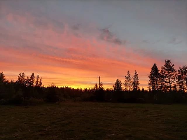 Upplev magisk glamping i Jämtlands vildmark hos Nederhögens Vildmarkscenter. Unika tält, natur, norrsken, bastu & äventyr väntar. Boka din vildmarksglamping!